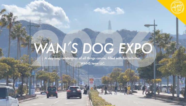 スクリーンショット 2026-03-12 141402